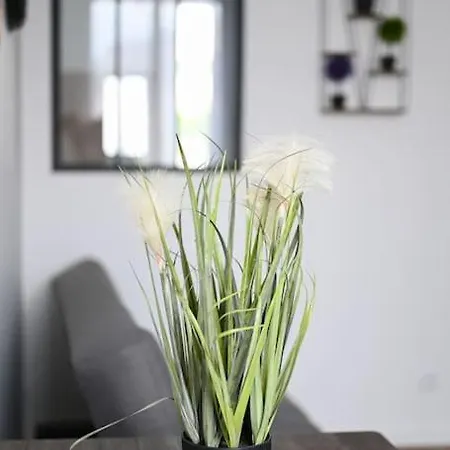 Le Petit Cocon - Docks Vauban Apartment *